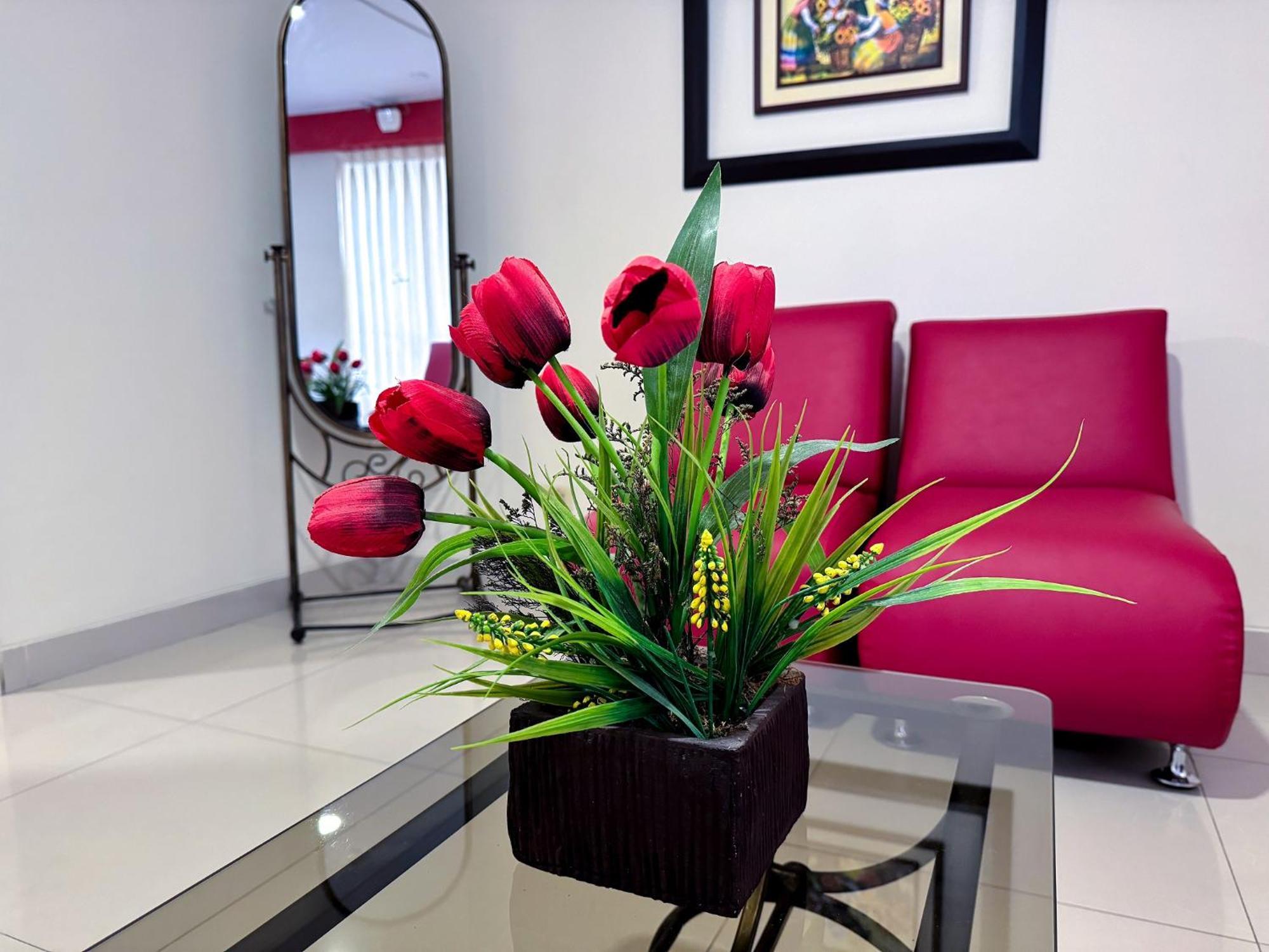 Casa Fanning Hotel 3*
