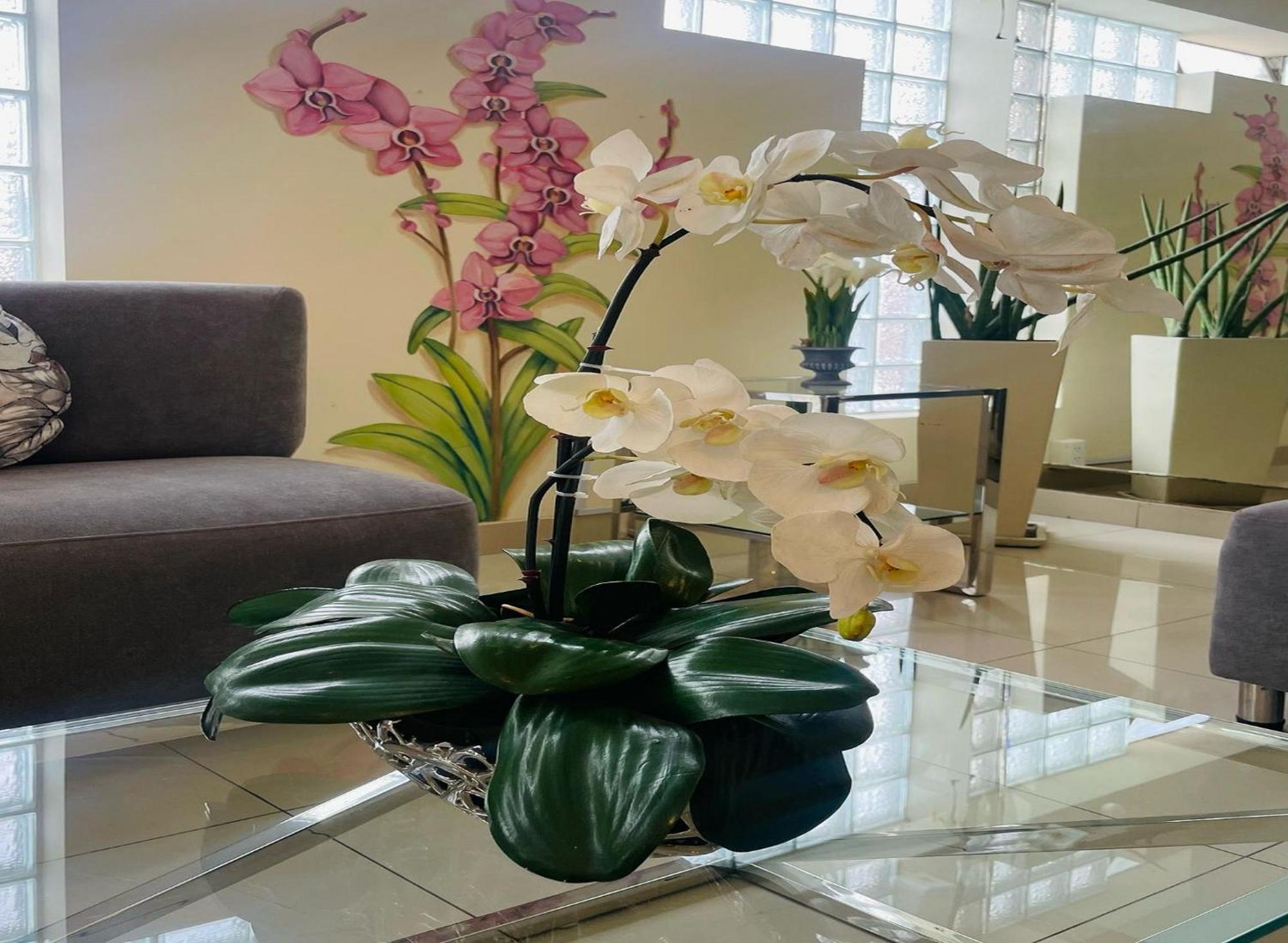 Hotel Casa Fanning 3*